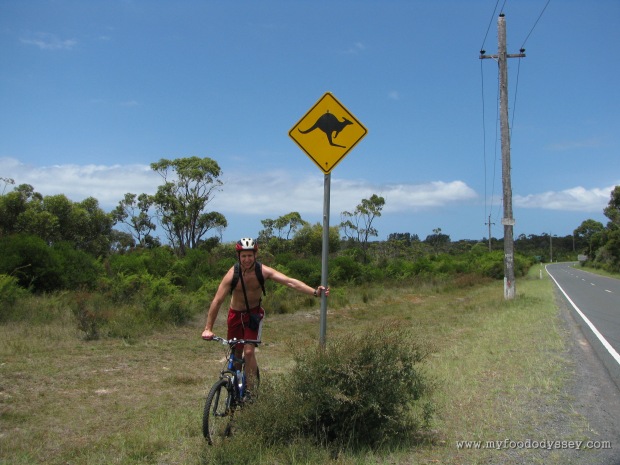 You don't see these road signs in Ireland. Murray's Beach, Australia, Christmas 2009/10.