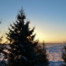 Winter Sunrise. Lithuania | www.myfoododyssey.com