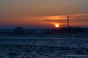 Winter Sunset, Lithuania | www.myfoododyssey.com