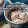 No-Churn Chocolate Chip Ice Cream | www.myfoododyssey.com