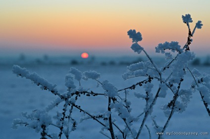 Winter Sunset, Lithuania | www.myfoododyssey.com