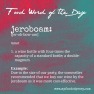 Food Word of the Day: Jeroboam | www.myfoododyssey.com