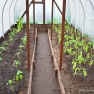Planting Greenhouse | www.myfoododyssey.com