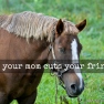 When your mom cuts your fringe... | www.myfoododyssey.com